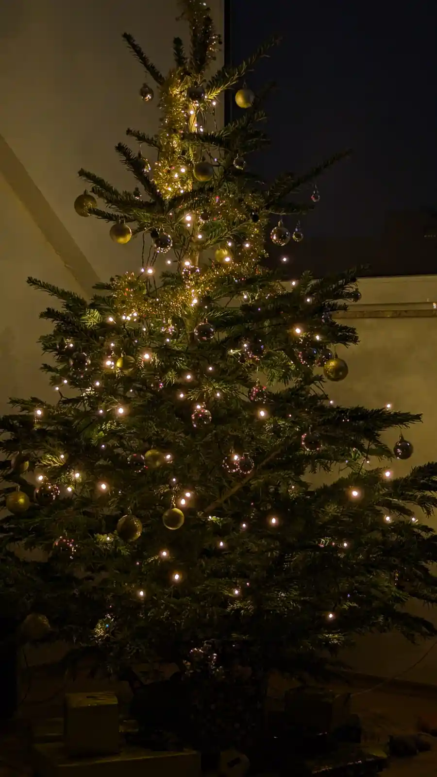 A decorated christmas tree with lights and ornaments is shown in a dimly lit room at night. The tree is adorned with gold…
