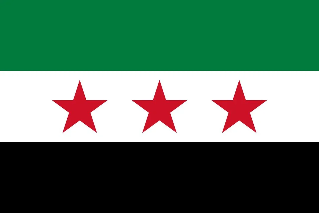 The image displays the flag of Syria, which consists of three horizontal stripes: green on top, white in the middle, and…