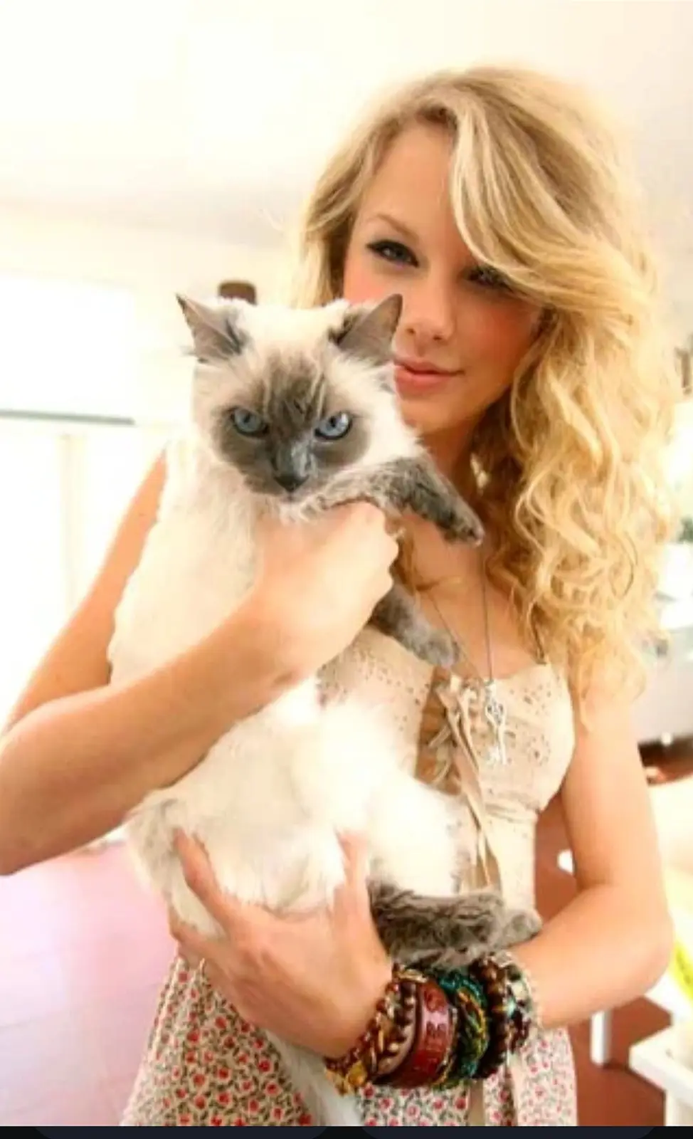 A woman with blonde hair holds a fluffy, blue-eyed cat that looks directly at the camera with a serious expression. The…