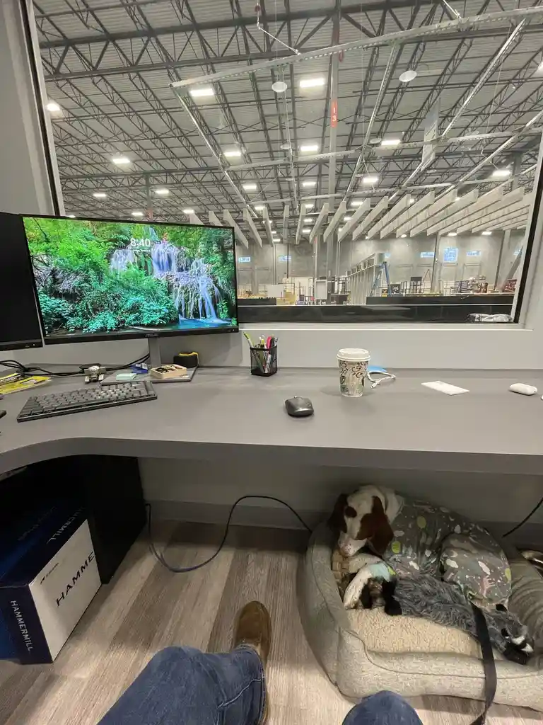 Lily's Exciting First Day on the Job