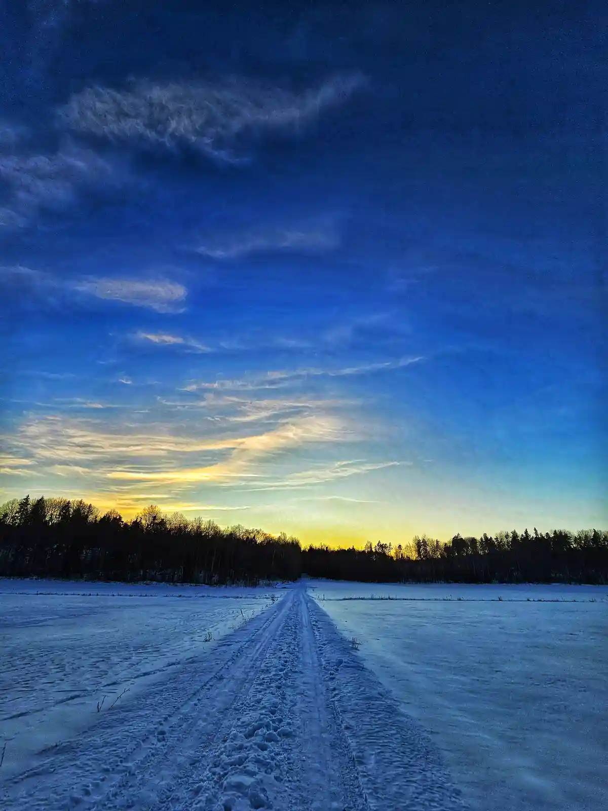 A snowy path stretches into the distance through a frozen field under a dramatic twilight sky with deep blue and yellow…