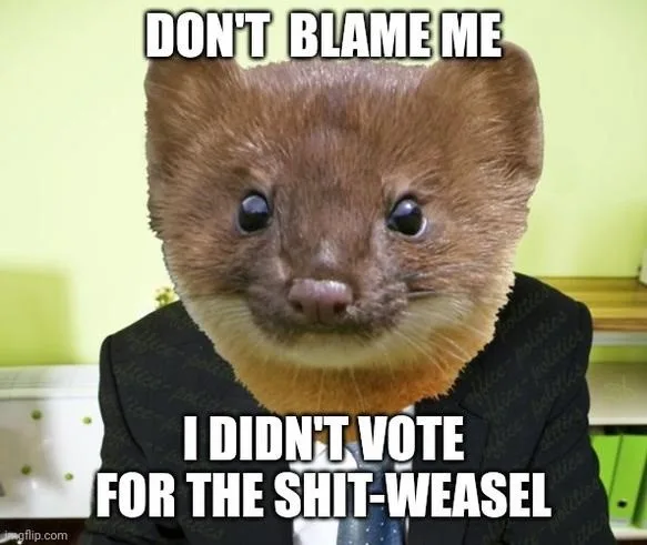 A close-up image of a weasel wearing a dark suit and tie, looking directly at the camera with a neutral expression. The text…