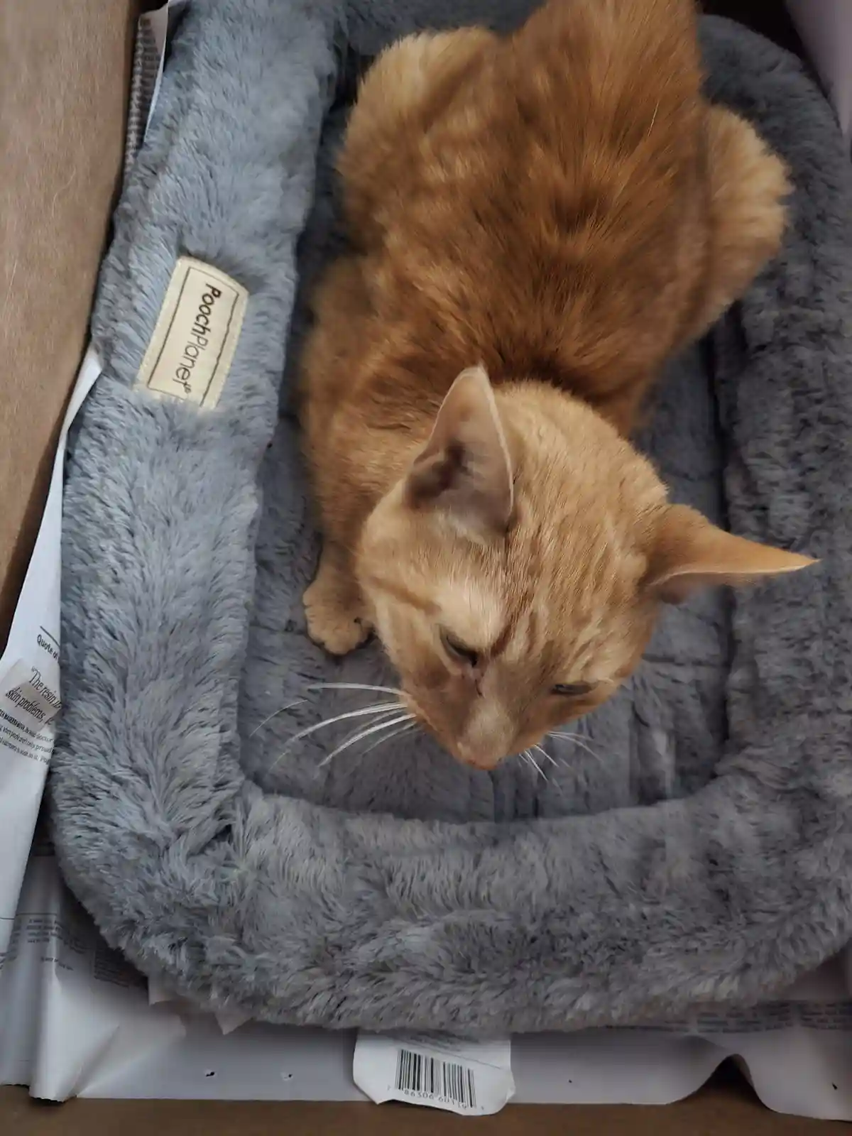 Tig - A Special Note for Reddit Visitors, Please Read!