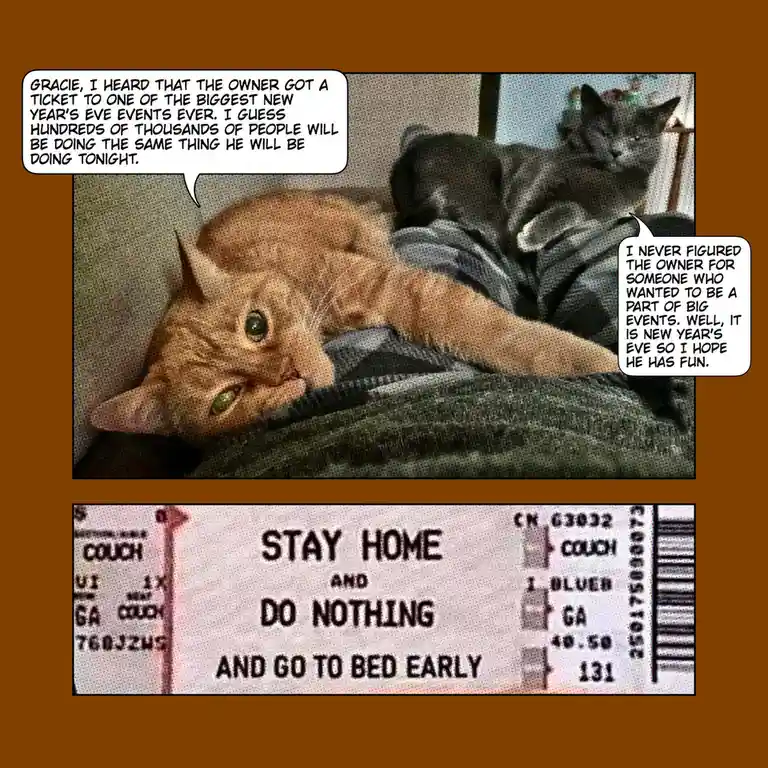 Two cats are lounging on a couch; one orange tabby with green eyes looks at the camera while a gray cat sits behind. Speech…