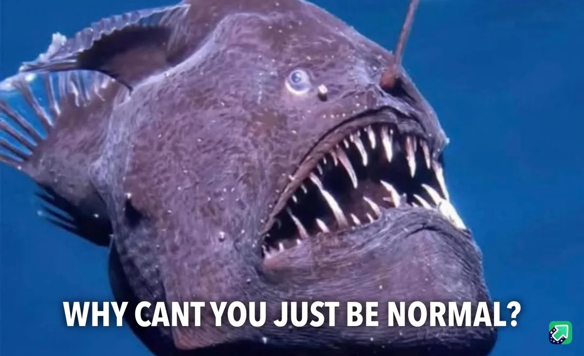 A close-up photograph of a dark, deep-sea anglerfish with a wide-open mouth showing sharp, jagged teeth, set against a blue…