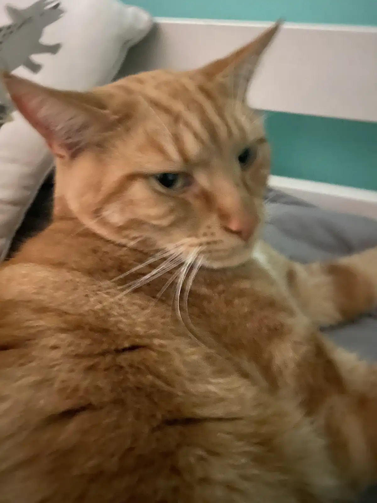 Biscuit's Daily Dose of Cuteness