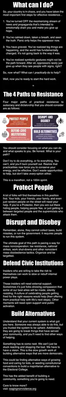 A black-and-white infographic titled 'What can I do?' outlines steps for effective resistance after a country falls into…