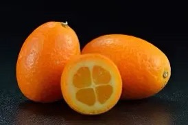 Three kumquats are shown on a dark surface, one cut in half to reveal its segmented interior. Overlaid text reads 'i'm not a…
