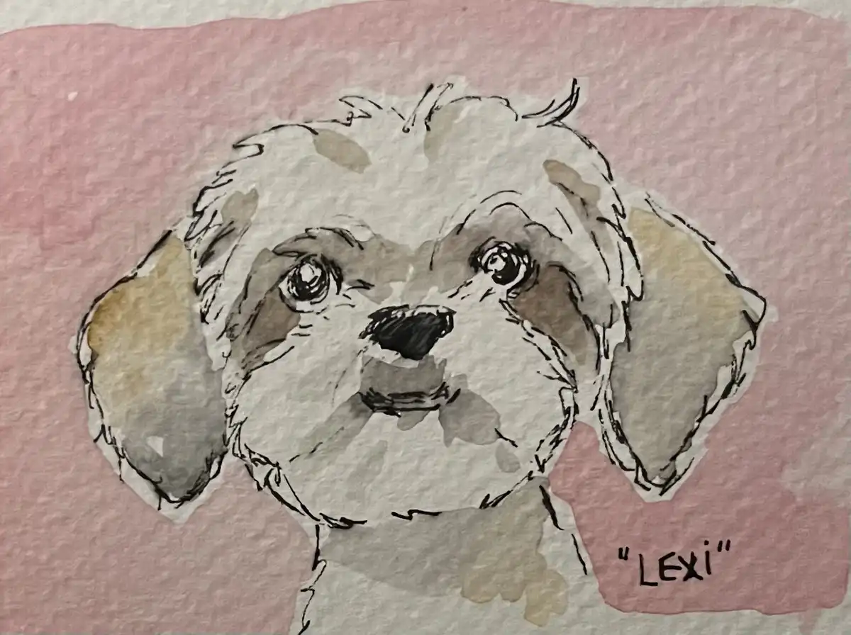 A watercolor and ink sketch of a small, fluffy dog with large, expressive eyes and floppy ears, set against a pink…