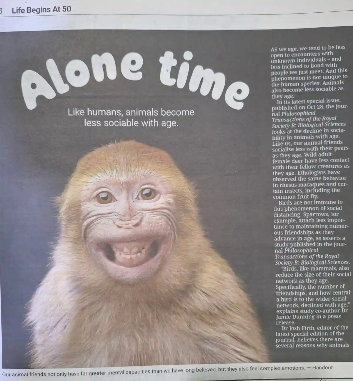 A newspaper article clipping shows a close-up of a monkey with a wide, toothy grin. The headline reads 'Alone time' and the…