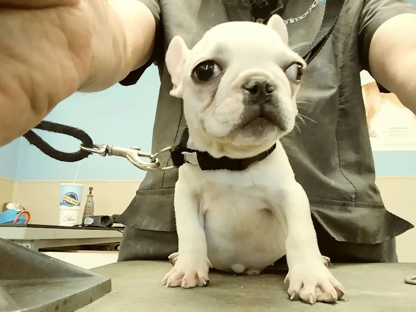 Help Us Choose a Name for This Adorable Creature!