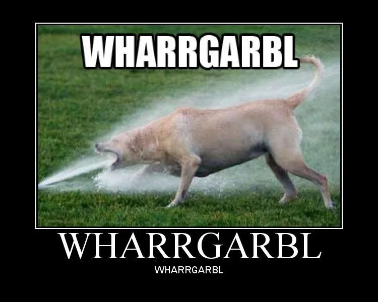 A light-colored dog is captured mid-stride on a grassy lawn, appearing to forcefully expel water from its mouth, creating a…