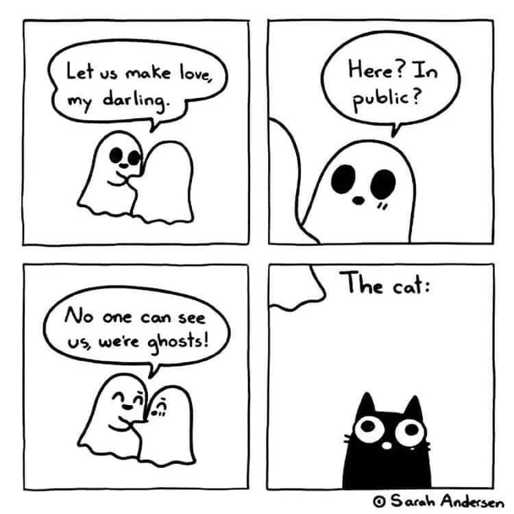 A four-panel comic strip by Sarah Andersen shows two ghosts planning to make love, one expressing surprise at being caught…