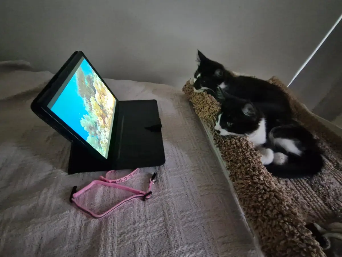 It's Movie Night: Grab Your Snacks!