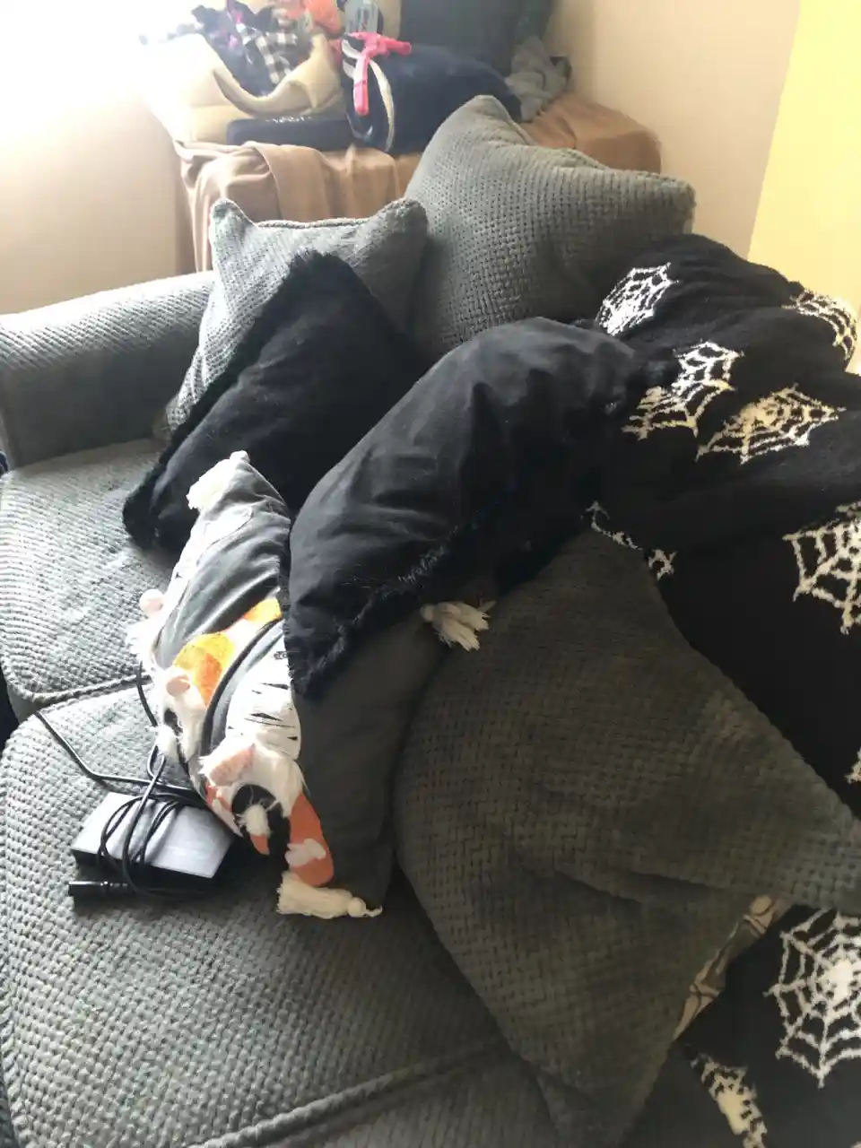 A messy gray couch is piled with black pillows, a black blanket with white spiderweb patterns, and a colorful tiger-striped…
