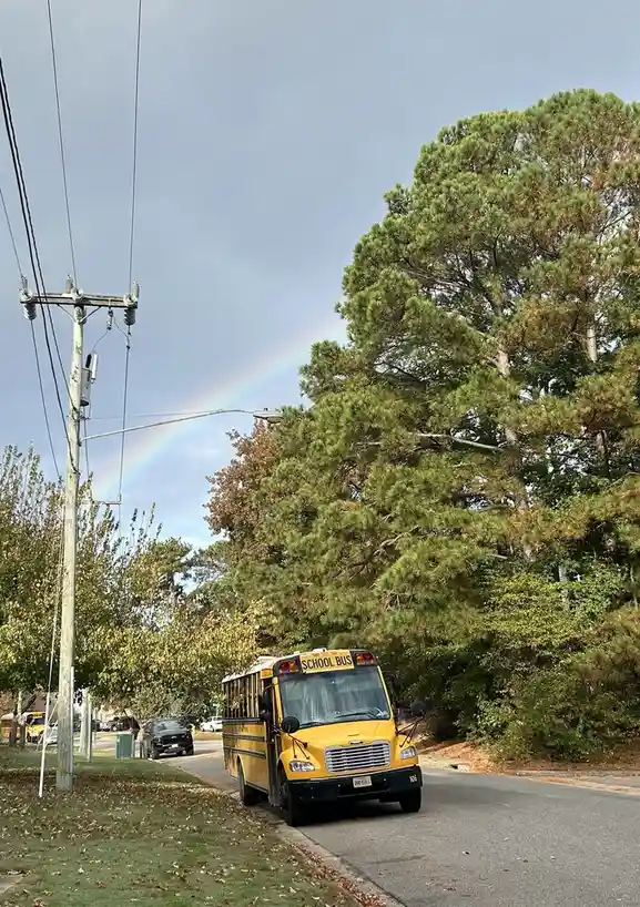 A yellow school bus is parked on a residential street next to a large pine tree, with a faint rainbow visible in the sky…