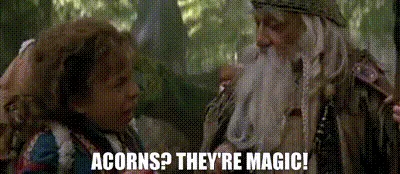 A repeating image sequence from 'The Hobbit' shows a young character looking at a wizard, who repeatedly exclaims 'ACORNS?…