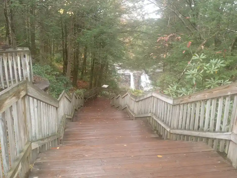 A wooden staircase with railings leads down into a forested area toward a waterfall. The path is surrounded by trees with…