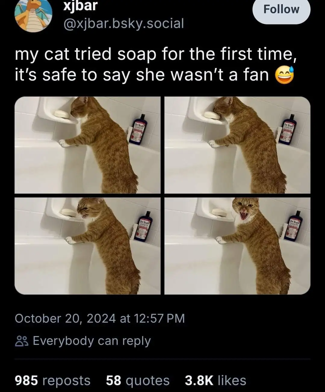 A four-panel image shows a ginger cat in a white bathtub, initially sniffing a bar of soap on a built-in shelf, then…
