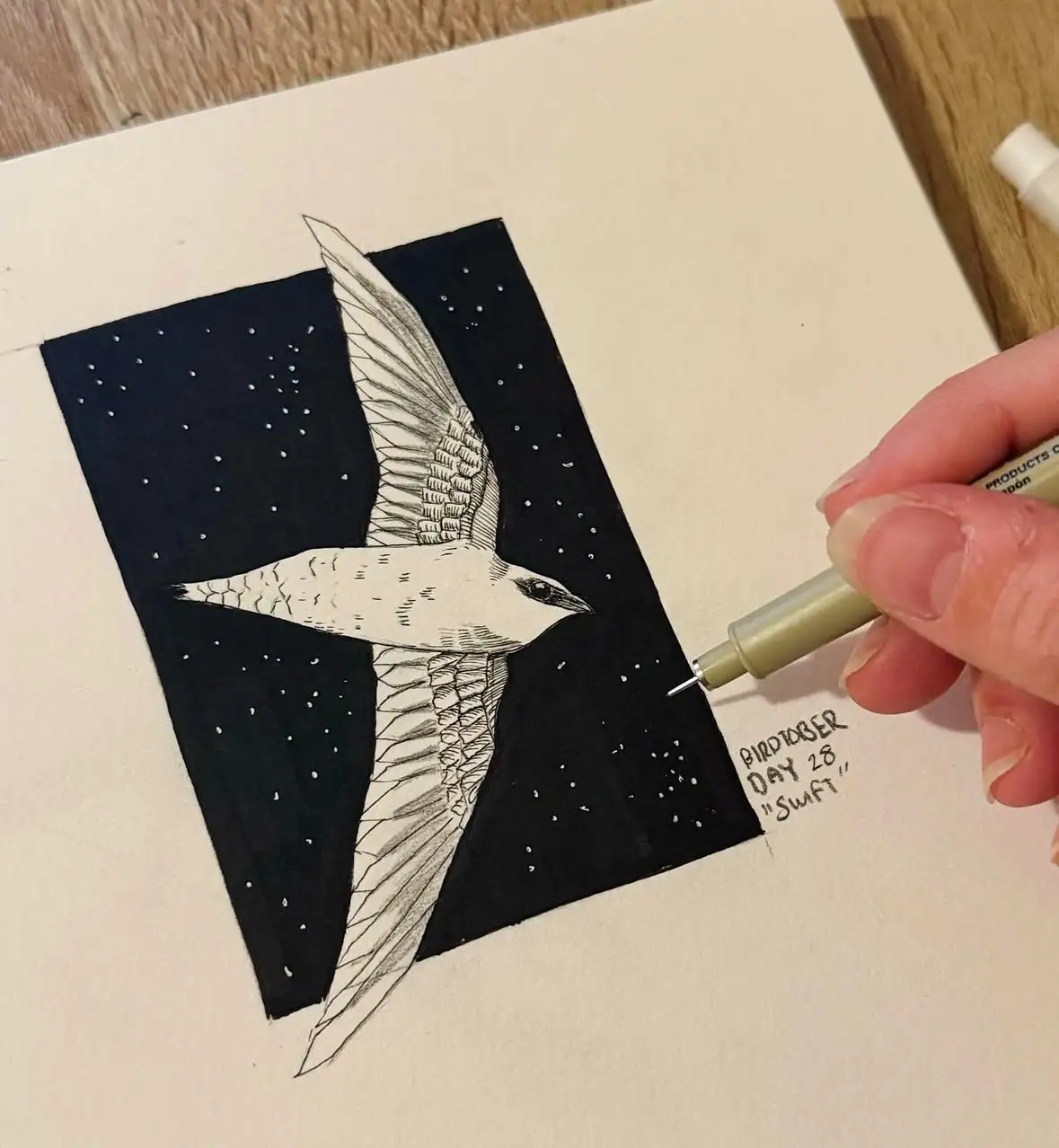A hand holds a green pen, finishing a detailed black-and-white drawing of a swift bird in flight against a starry night sky…