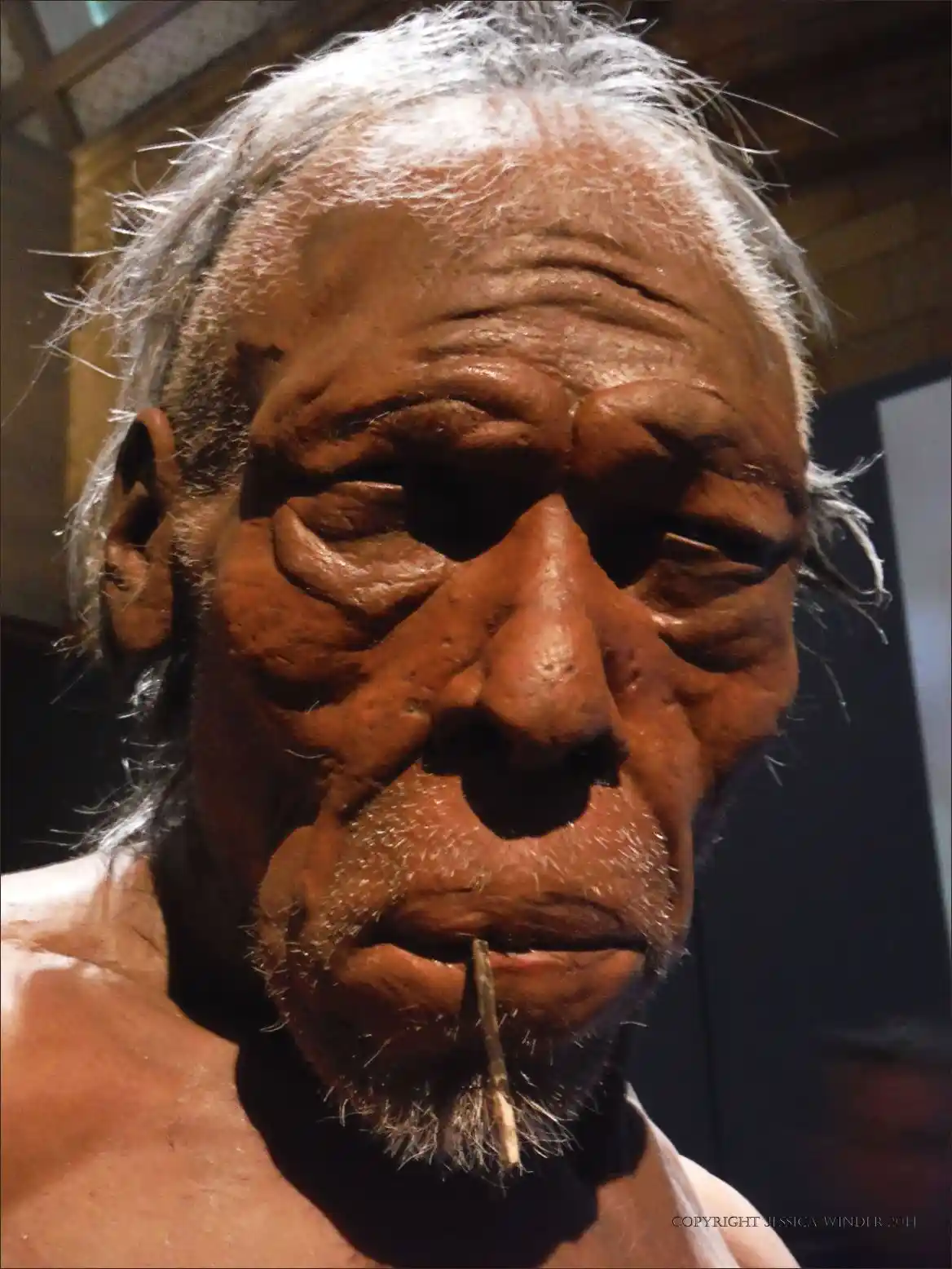 A close-up photo of an elderly man with deeply wrinkled skin, gray hair, and a stick in his mouth, overlaid with the text…