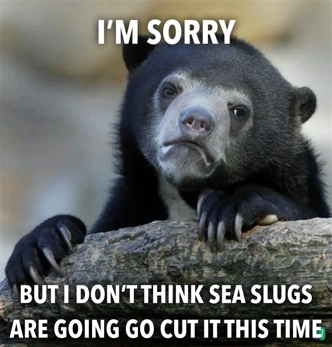 A close-up photo of a sad-looking spectacled bear resting its paws on a log, with white text overlaid that reads 'I'M SORRY'…