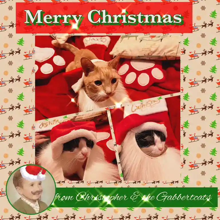 A festive Christmas card collage featuring three cats dressed in holiday attire: one in a white Santa-style outfit, another…