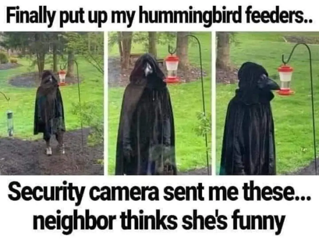 Just Because It's Hilarious Doesn't Mean It Shouldn't Be Shared...