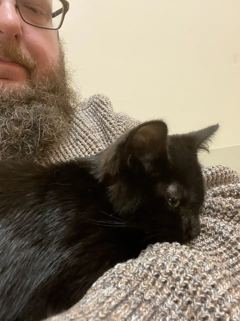 A close-up photo shows a man with glasses and a long beard wearing a textured sweater, with a black cat resting on his…
