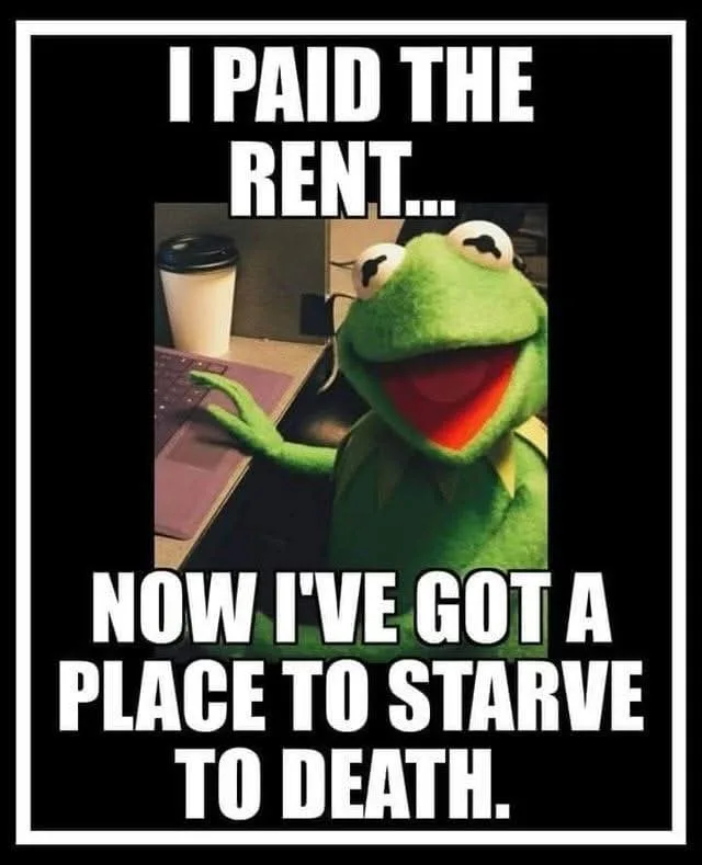 A green frog puppet, Kermit the Frog, is shown smiling widely while typing on a laptop, with a coffee cup beside it. Large…