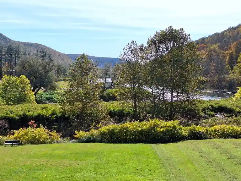 A serene landscape photo shows a mowed green lawn in the foreground, a solitary park bench to the left, and a river flowing…