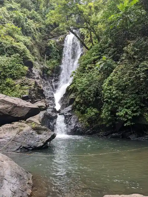 A serene waterfall cascades down mossy rocks into a calm pool surrounded by lush green jungle foliage. A thin rope barrier…