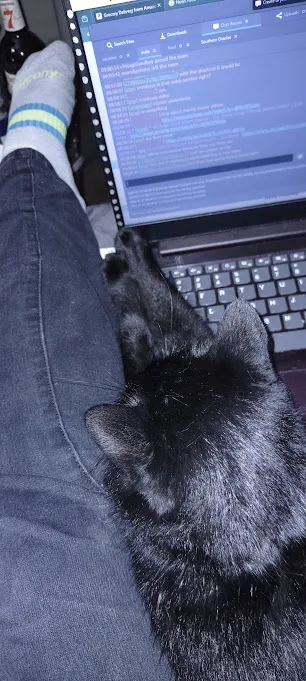 A black cat is sleeping on a person's lap, directly in front of a laptop screen displaying a GitHub repository. The person's…