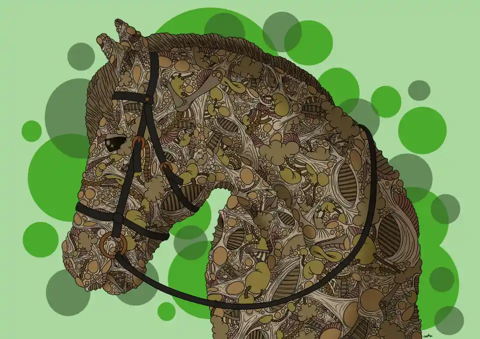 An intricately detailed illustration of a horse's head and neck, covered in complex, organic patterns resembling coral or…